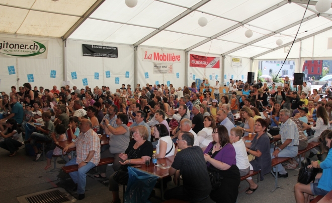 Public 2011